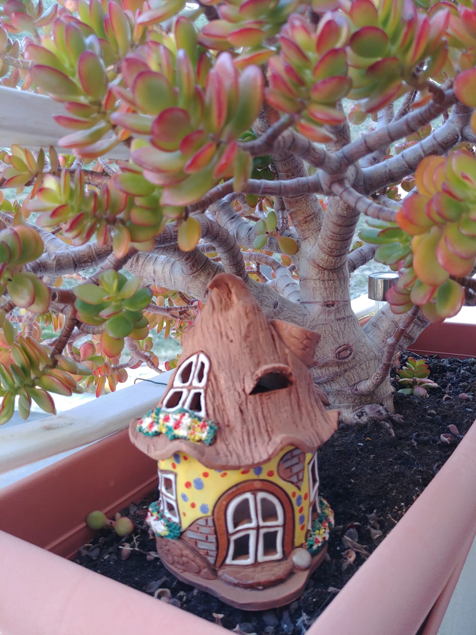 8b3f81a9-80e9-4f73-a63f-53e2f1f87810